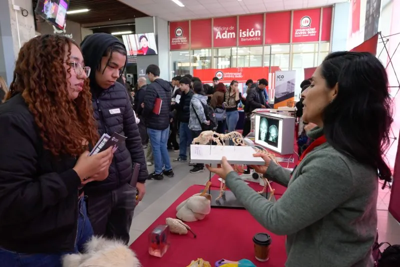 Ensayo PAES UNAB-PDV Campus Concepción Ensayo PAES UNAB-PDV Campus Concepción