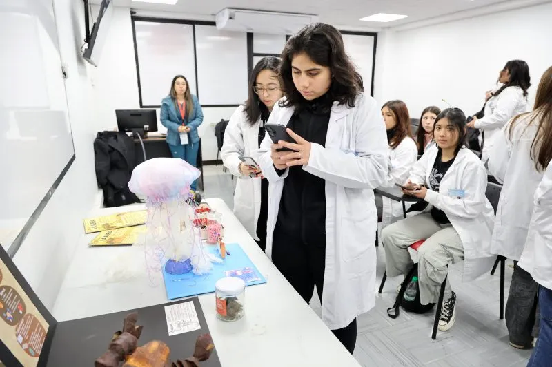 14º Interescolar de Salud y 1º Auxilios - Santiago