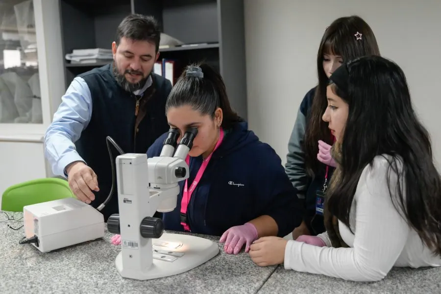 Encuentro-Mujeres-en-Ciencia-y-Tecnología-Concepción-59609-900×601